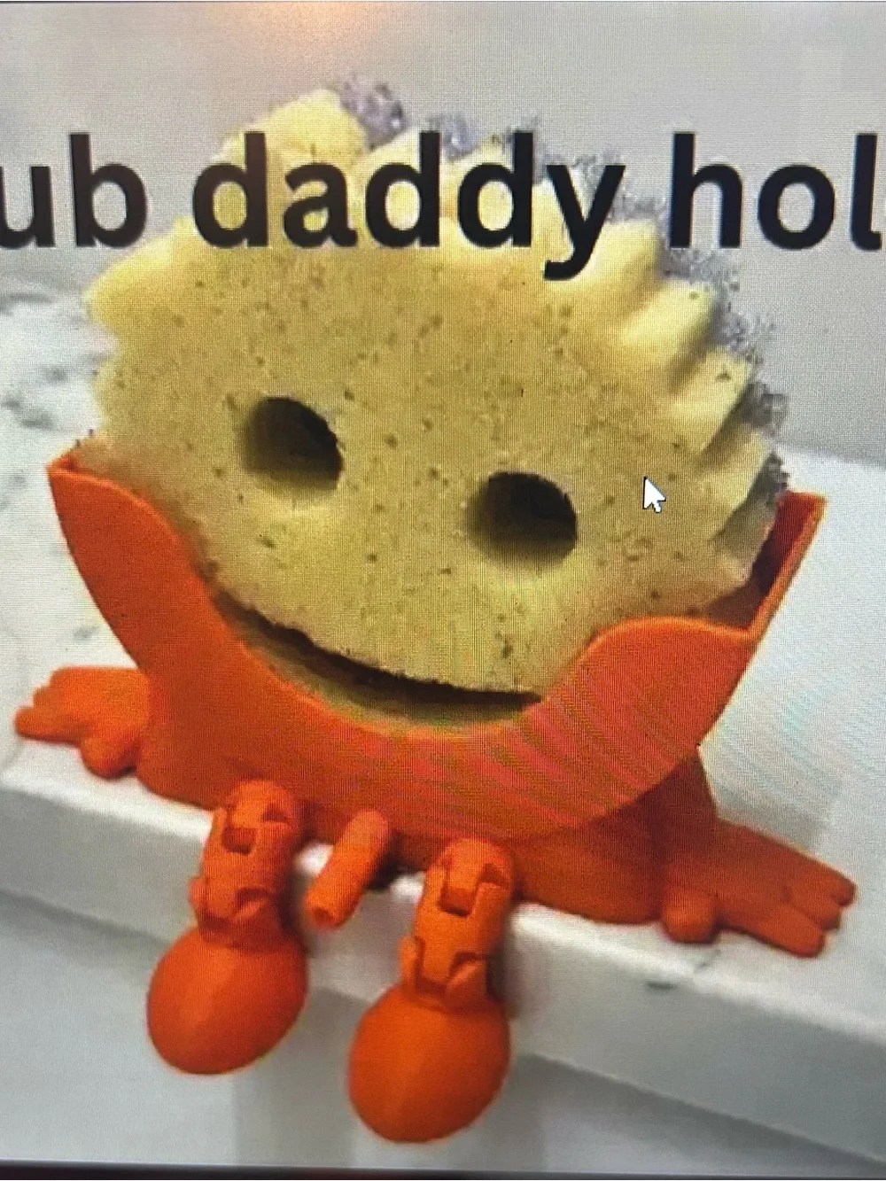 3D printed Scrub daddy Holder